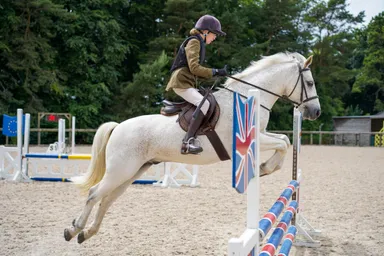 Equestrian Sports image