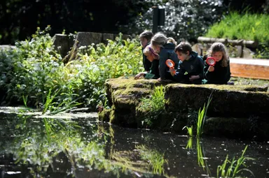 Development Plan image